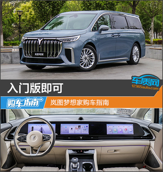 入门版即可 岚图梦想家购车指南