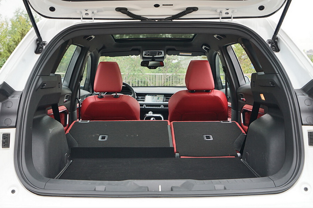 哈弗H6 2020款 1.5GDIT 自动铂金豪华版 组图