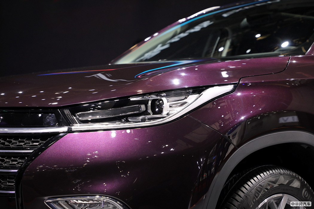 星途TX 2019款 TX 1.6T 两驱紫金版 组图