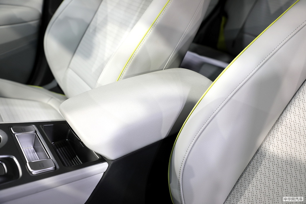 昂希诺纯电动 2020款 TOP 悦享版 组图