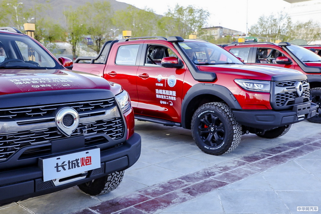 炮 2019款 2.0T自动汽油四驱尊享版GW4C20B 组图