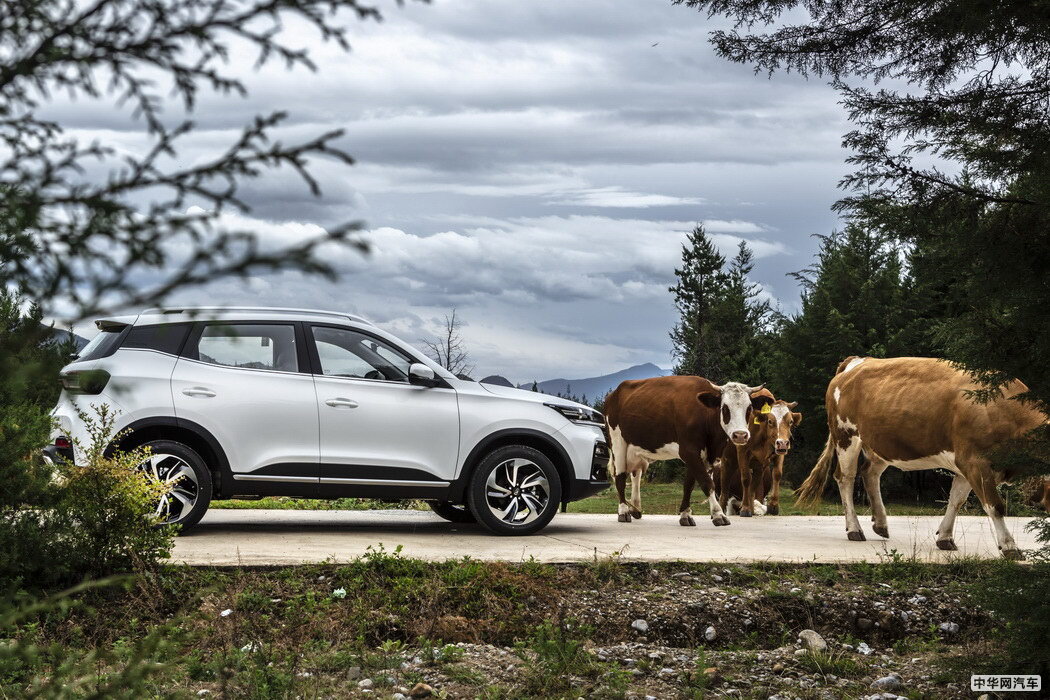 凯翼炫界 2020款 1.5L CVT耀 组图