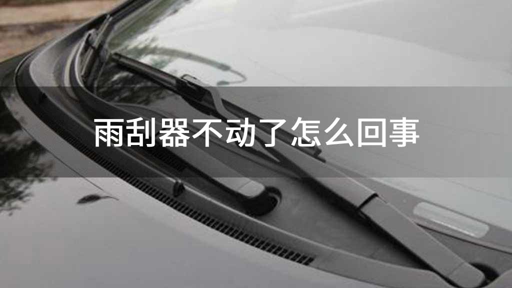雨刮器不动了怎么回事