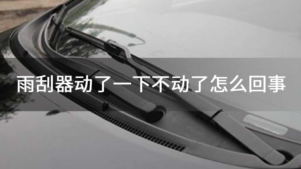 雨刮器动了一下不动了怎么回事